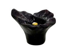Gałka H126-50 Z Kolekcji Flower Granatowy Bratek - Siro