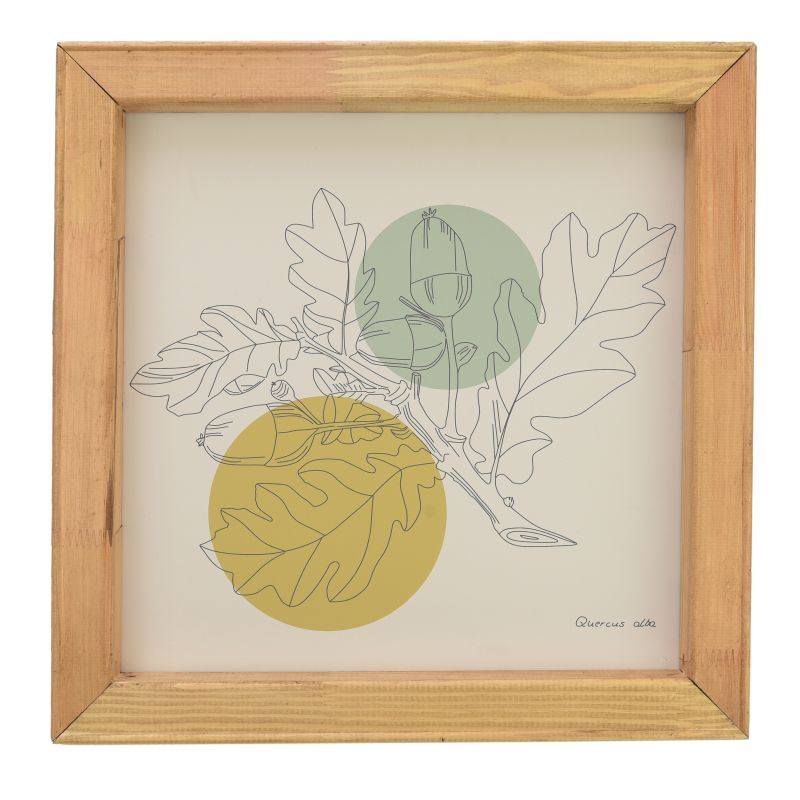 Grafika QUERCUS ALBA 40x40