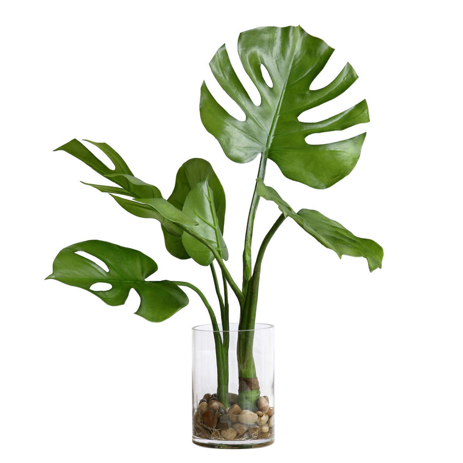 Dekoracja kwiatowa Monstera