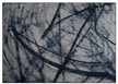 Dywan BOB 200x300cm niebieski