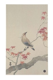 Plakat z papieru WAXWING L