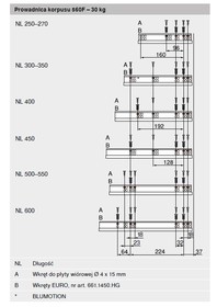Prowadnice do szuflad Prowadnica z hamulcem TANDEM BLUMOTION 560F B / dł. 30 cm / wysuw 100% - Blum