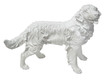 Figura psa GOLDEN RETRIEVER A020 - biały