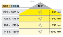 Oświetlenie LED Taśma LED LOOX5 LED 2073 / 12 V / 2700/5000 K / szer. 8 mm / dł. 5 m - Häfele