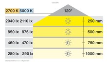 Oświetlenie LED Taśma LED Loox5 2076 12 V Multi White 9,6W/m, 120 LED/m, 5mb - Häfele