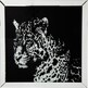 Dekoracja ścienna LEOPARD 80x80
