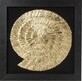 Dekoracja ścienna GOLDEN SNAIL 120x120