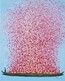 Obraz FLOWER BOAT 80x100 - niebieski/różowy