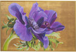 Obraz VIOLET 150x100