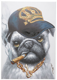 Obraz kolorowy pies hip hop 70x100 cm