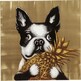 Obraz na płótnie DOG WITH PINEAPPLE 80x80