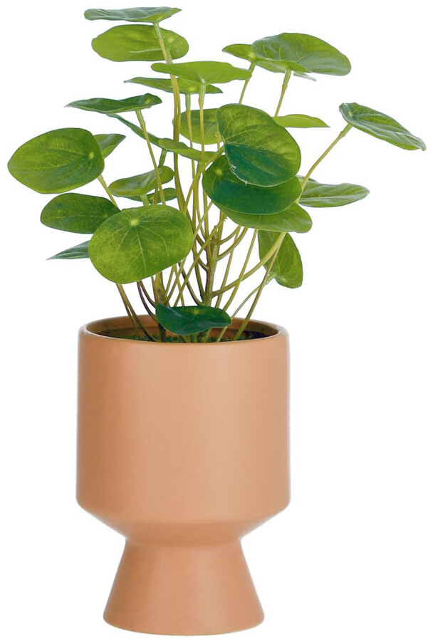 Roślina sztuczna BAILEY 28 cm
