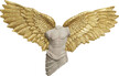 Dekoracja ścienna GUARDIAN ANGEL MALE 124x71 - beżowy/złoty