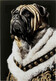 Obraz szklany KING PUG 40x60