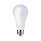 Żarówka ORO ATOS - biały / E27 / 19 W / 2250 lm / barwa zimna