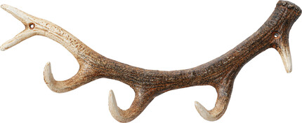 Wieszak ścienny ANTLER - naturalny