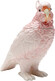 Pojemnik dekoracyjny EXOTIC BIRD - różowy/biały