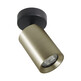 Lampa spot TORE TLS006-GLD - złoty szczotkowany