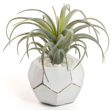 Roślina sztuczna TILLANDSIA 13 cm