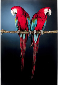 Obraz szklanyTWIN PARROT 80x120
