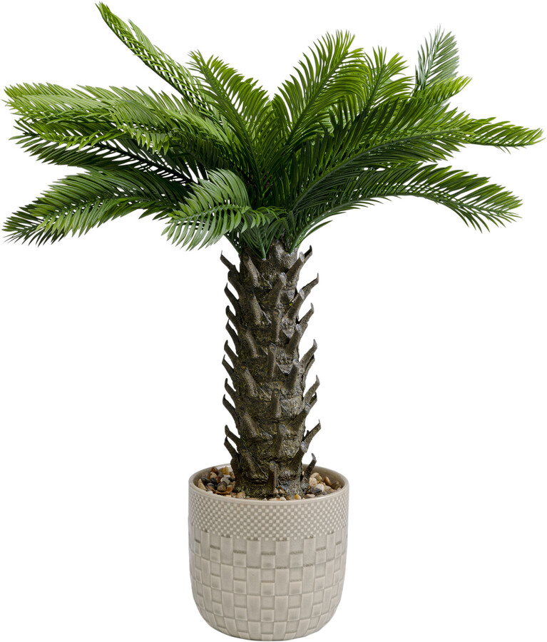 Roślina sztuczna CYCAS 70 cm