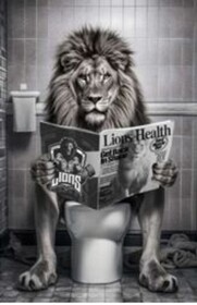 Obraz szklany BATH LION 60x80