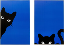 Obraz 2-elementowy CIAO GATTO 40x60