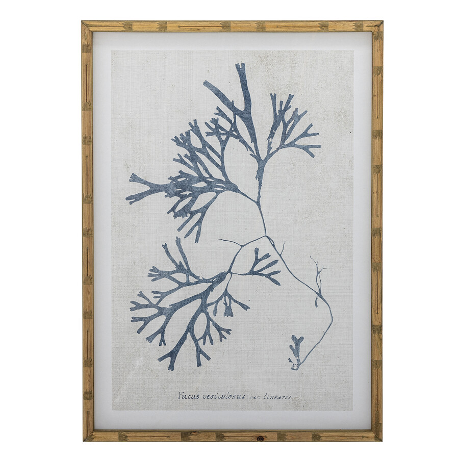 Ilustracja SUMNER 50x70