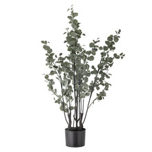 Roślina dekoracyjna EUCALYPTUS 117 cm