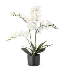 Roślina dekoracyjna ORCHID 84 cm