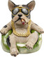 Skarbonka CHILLAX DOG - multikolor