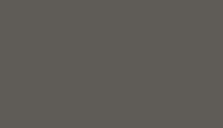 U2458L - Szarobrązowy (Trench Coat) (U2458L)