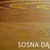 SOSNA DĄB SOSNA DĄB