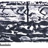 Celiberti Alluminio (MI) - Fusione di allumionio FAC