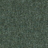 GR.1 ALLEGRO 06 Forest